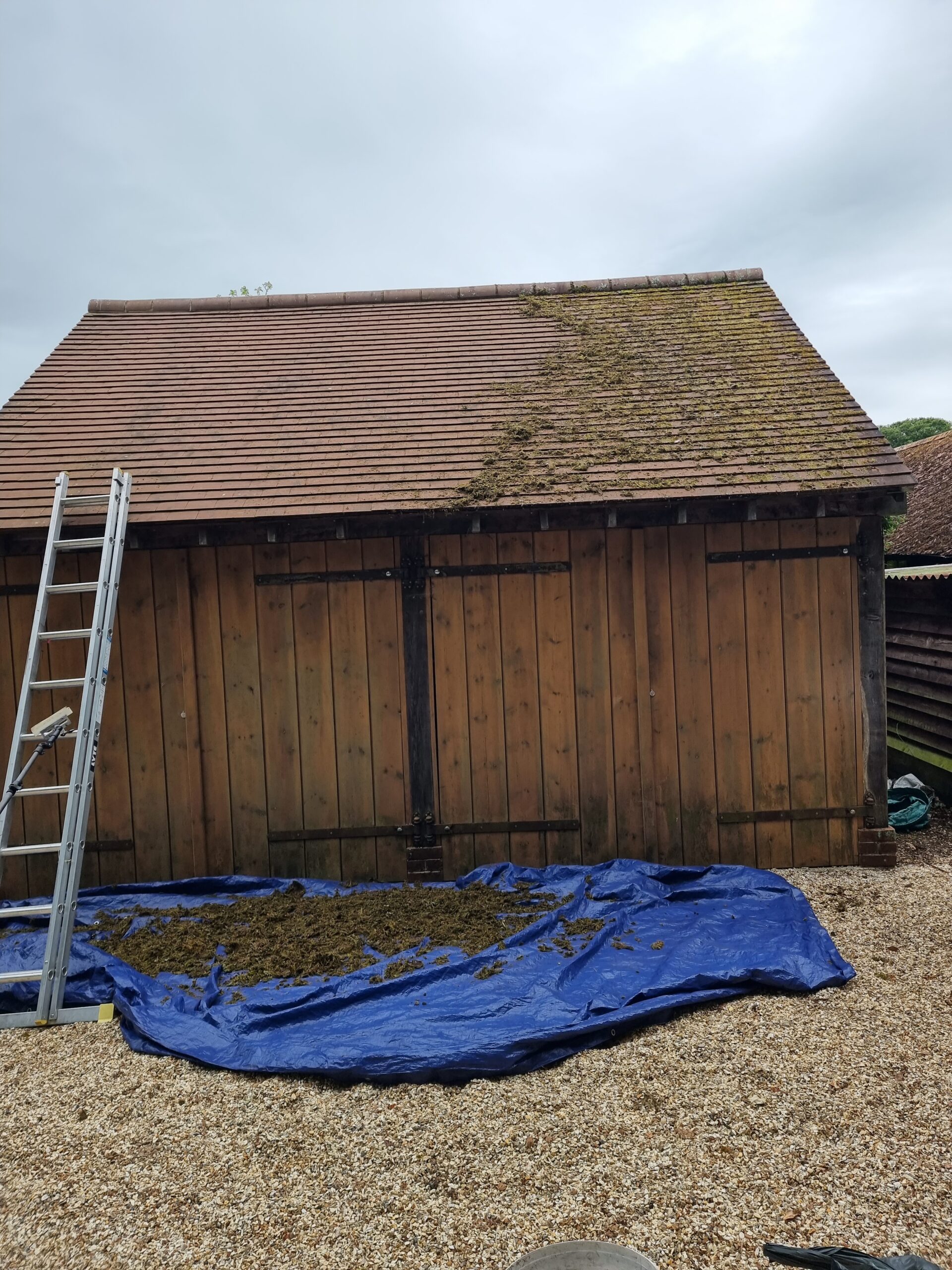 Roof Cleaning