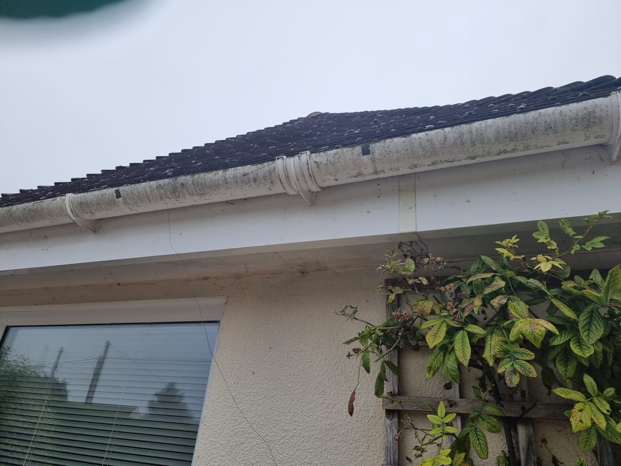 Gutter And Fascia Cleaning