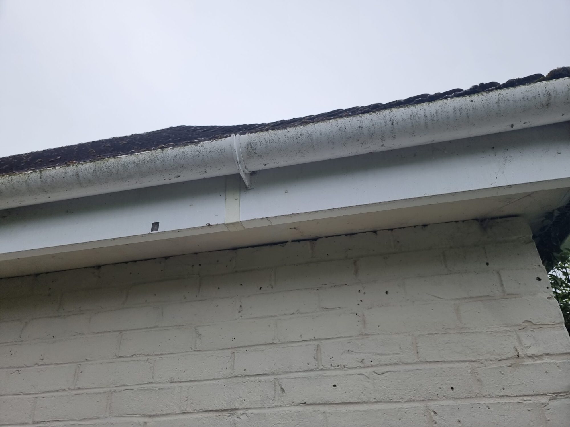 Gutter And Fascia Cleaning