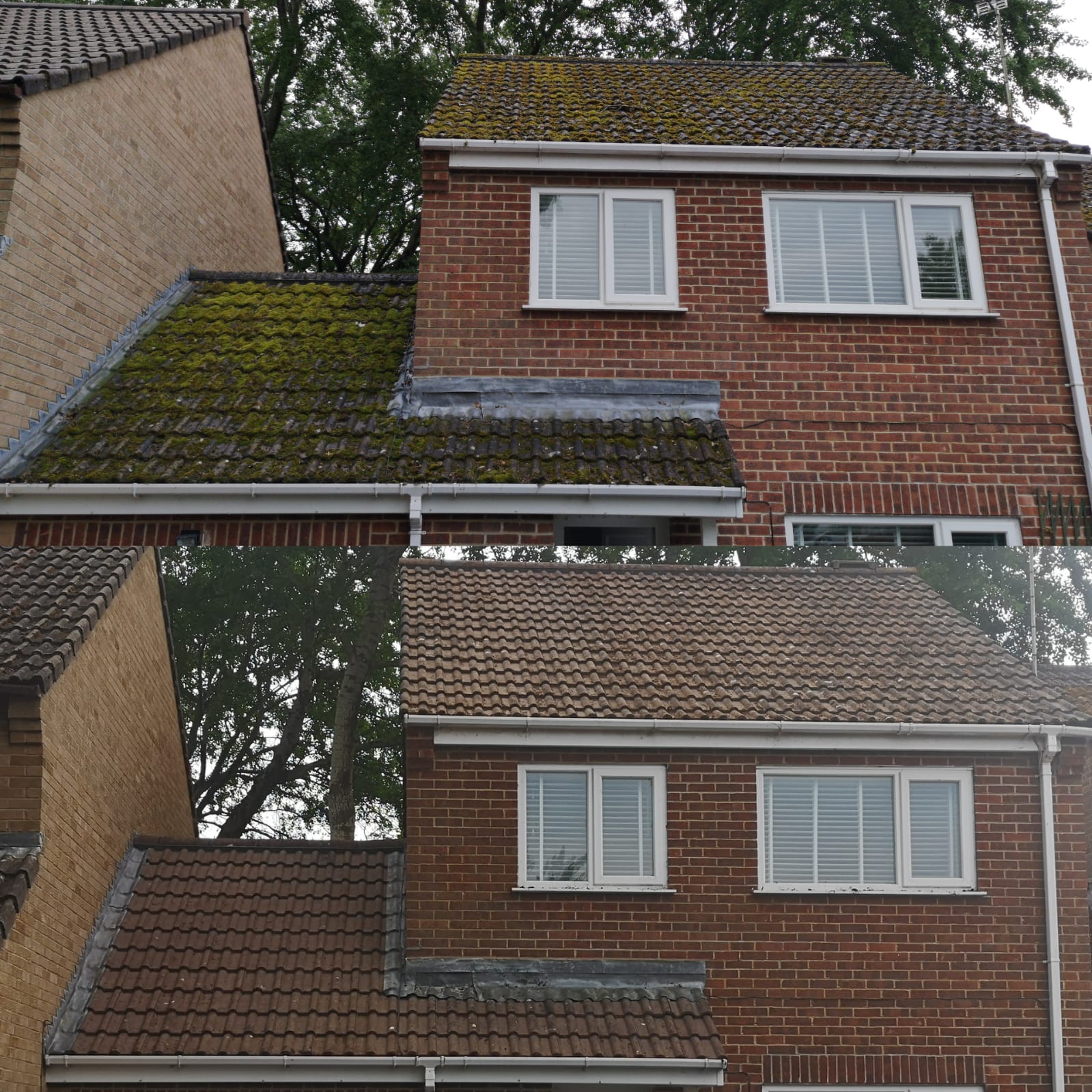 Roof Cleaning