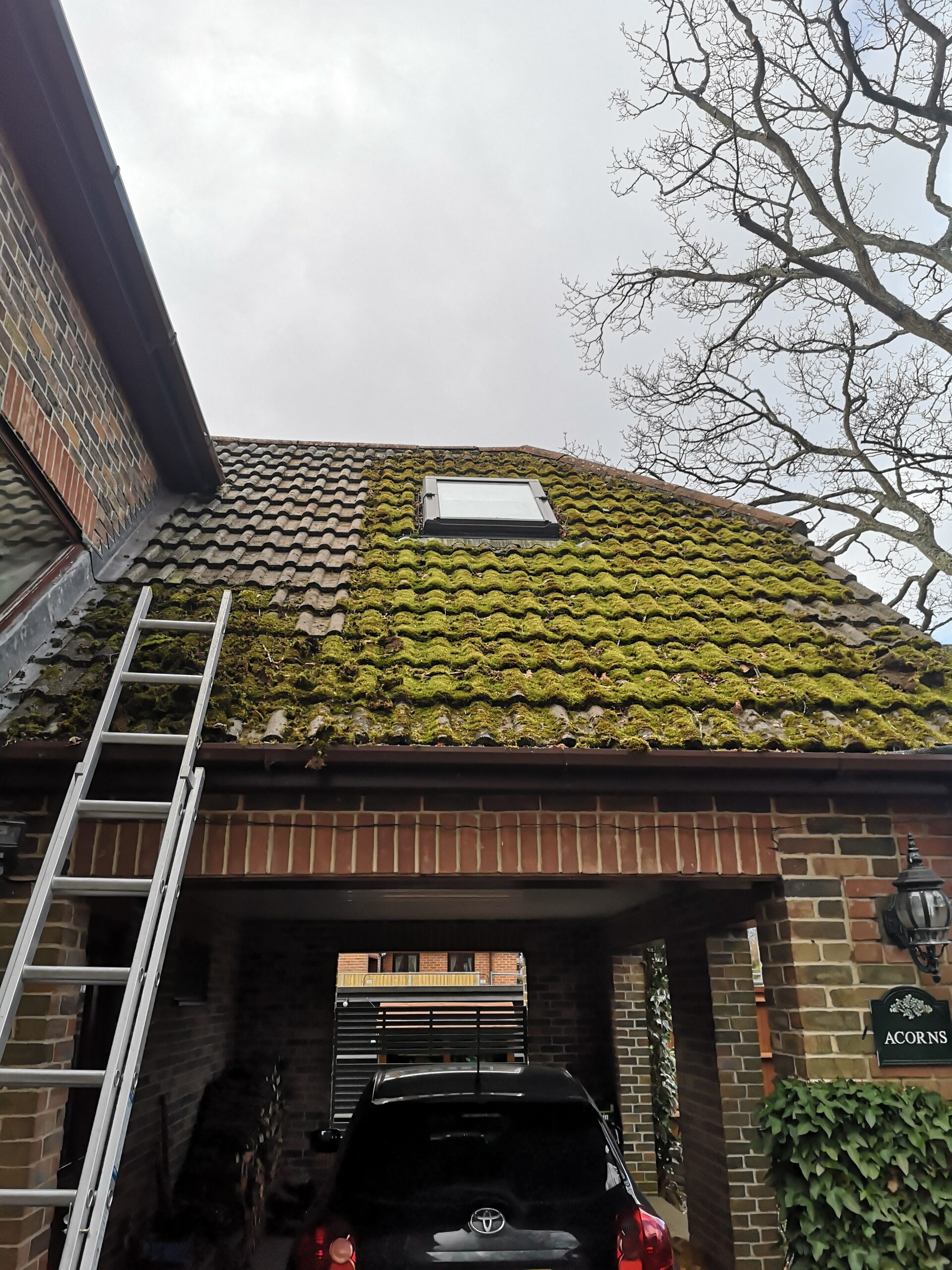 Roof Cleaning