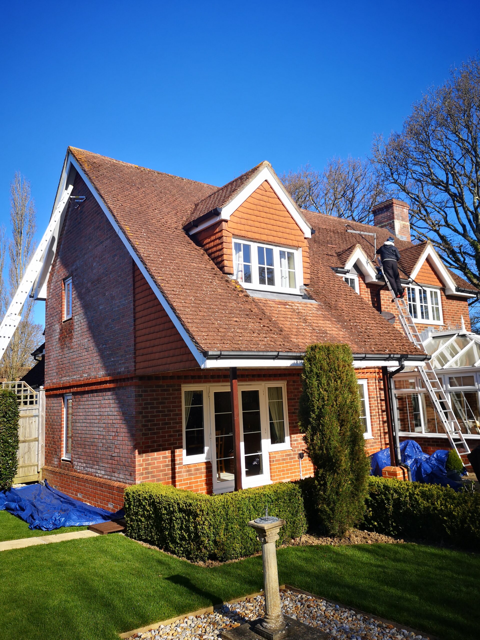 Roof Cleaning