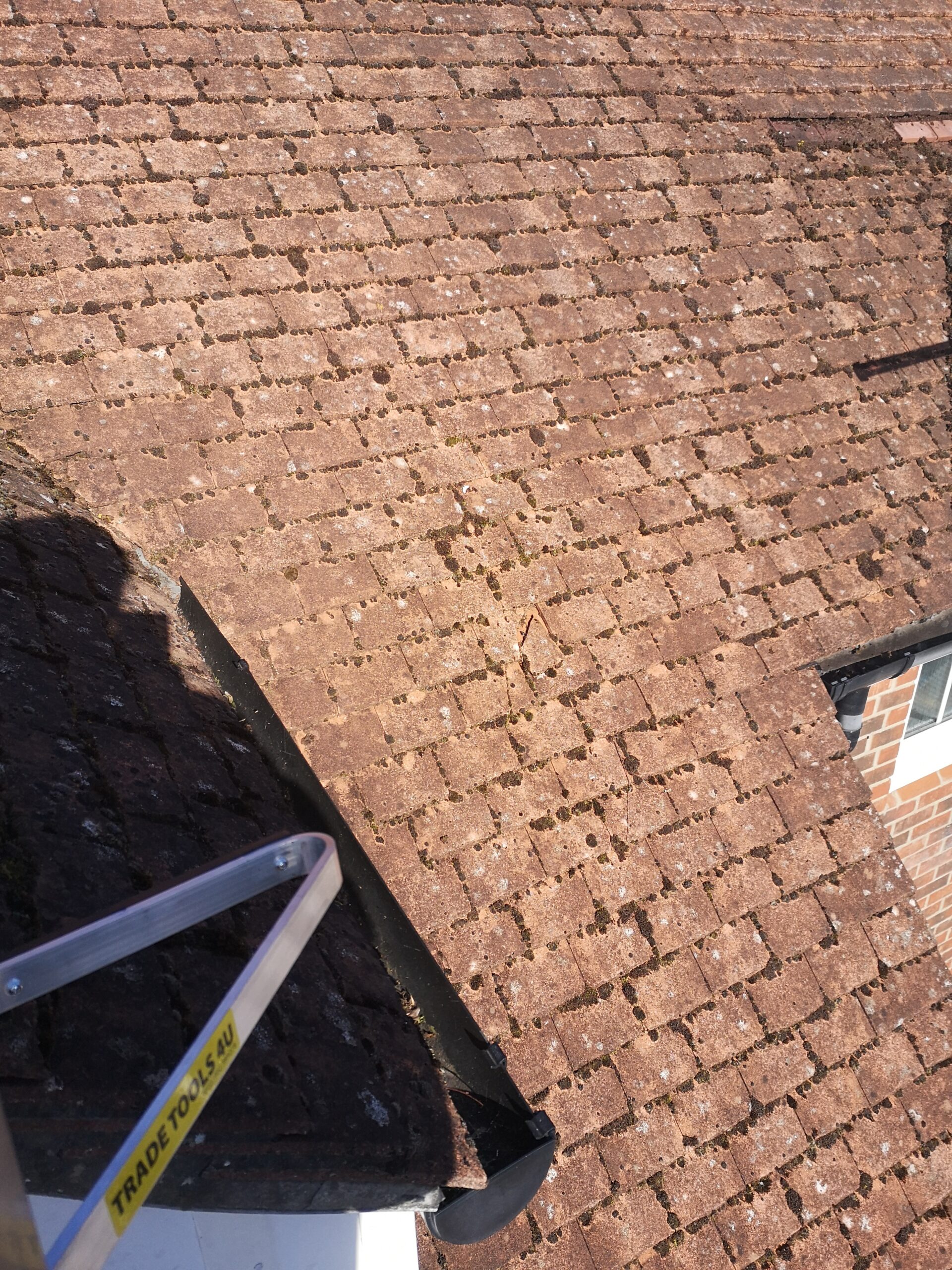 Roof Cleaning