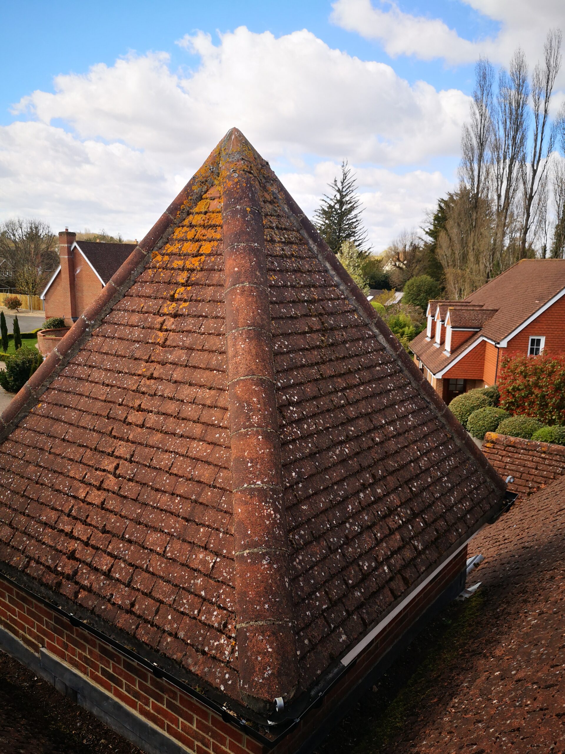 Roof Cleaning