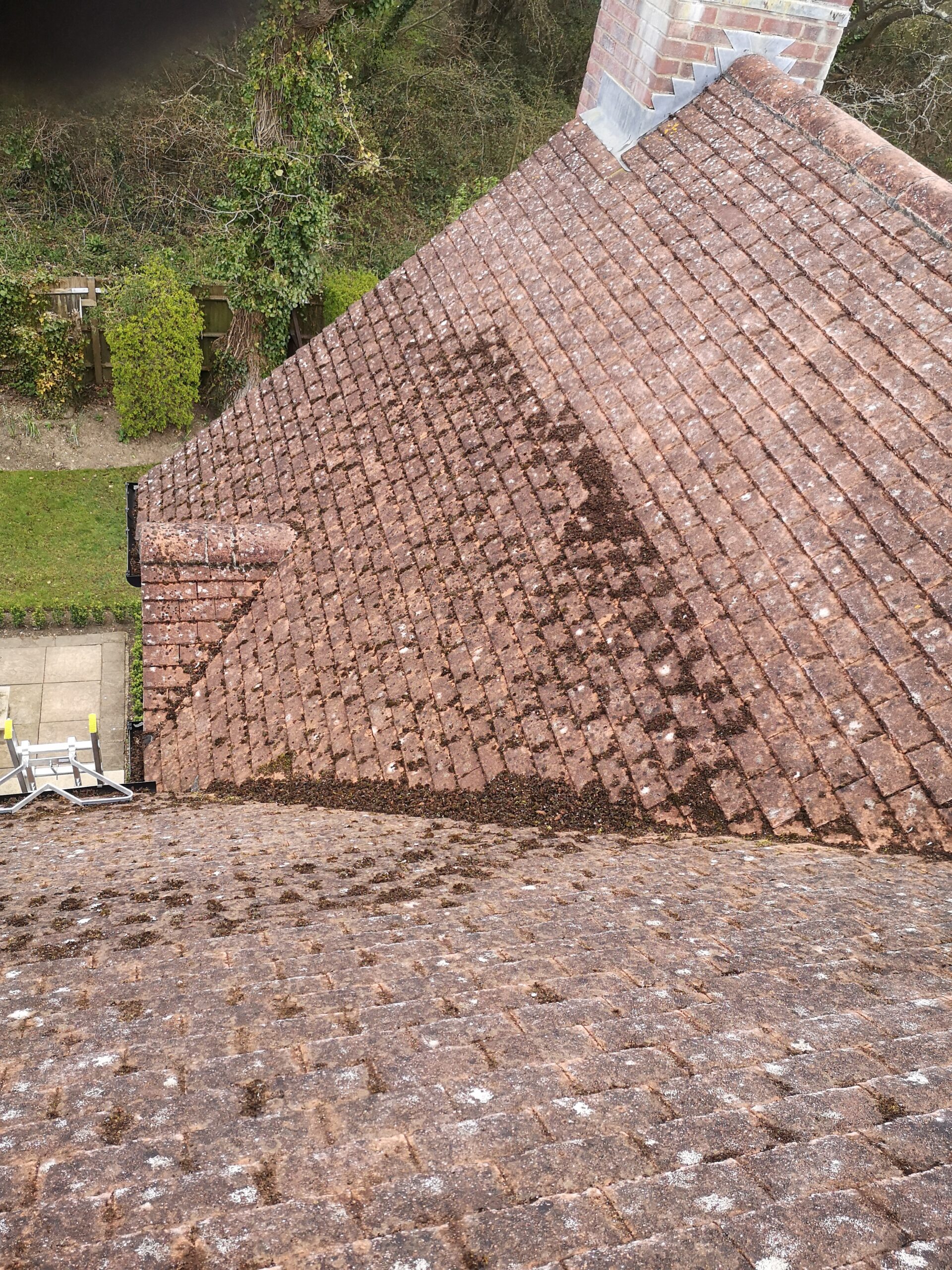 Roof Cleaning