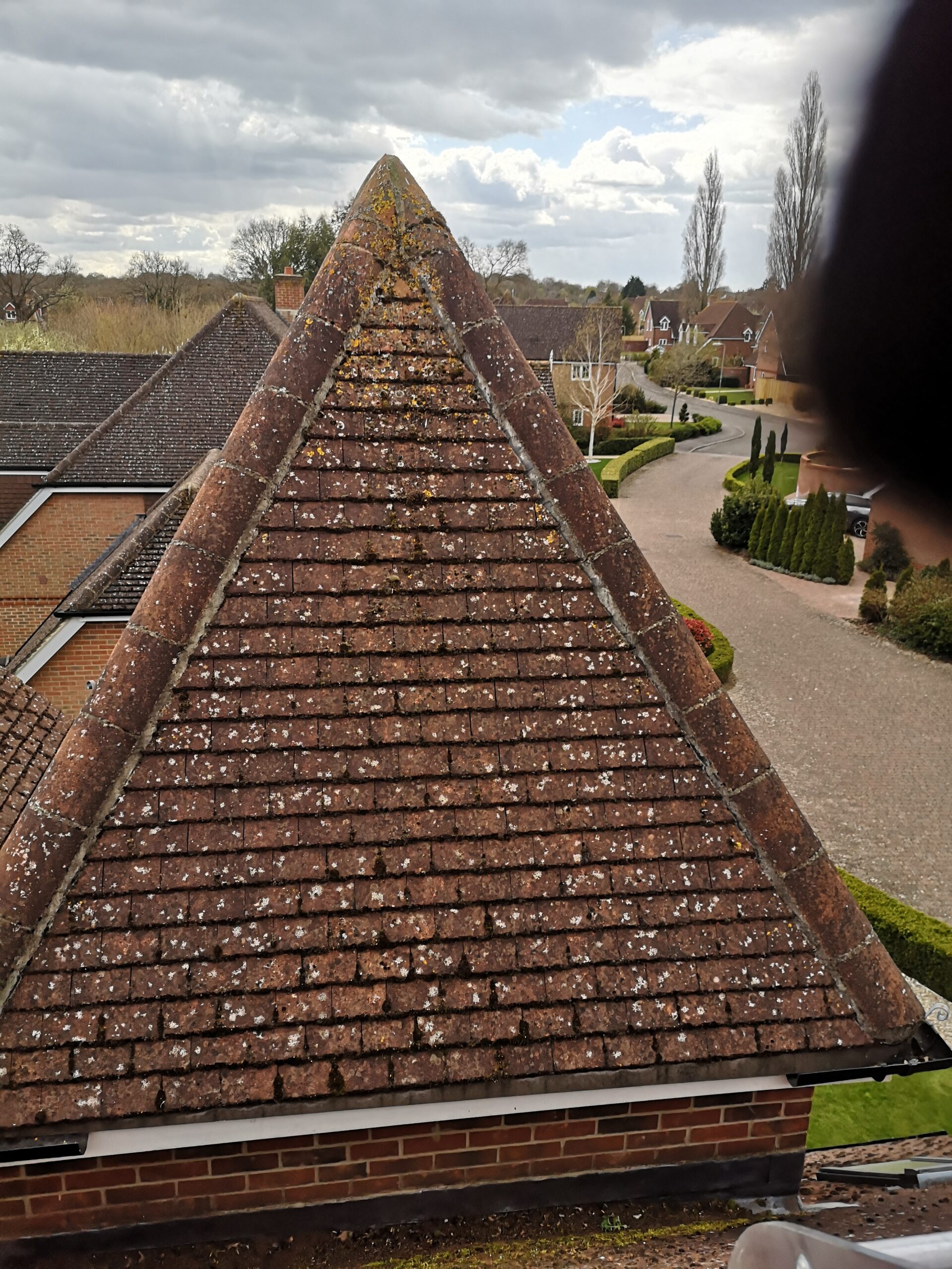 Roof Cleaning