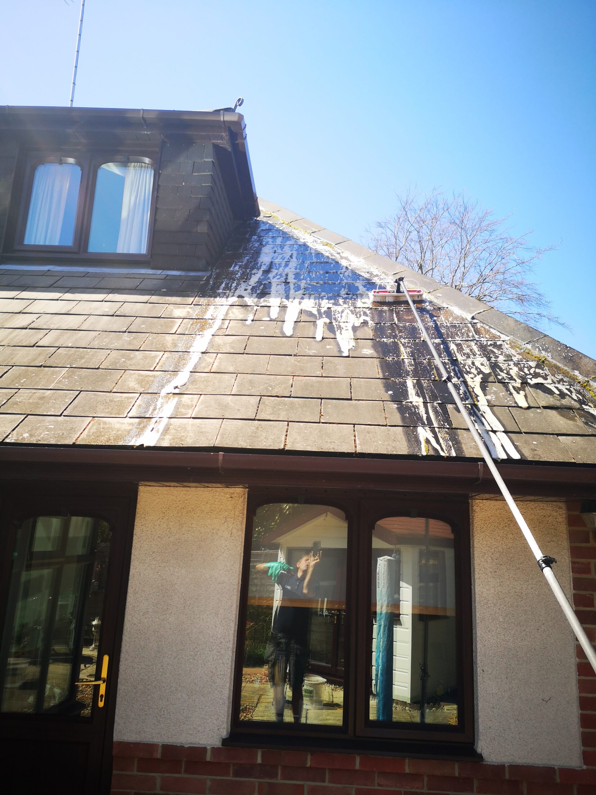 Roof Cleaning